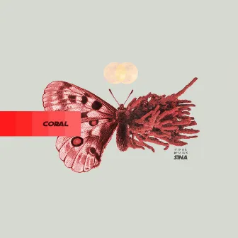 Coral by Sina