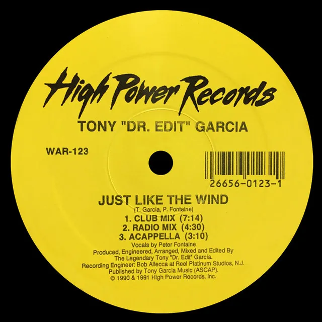 Just Like the Wind - Radio Mix