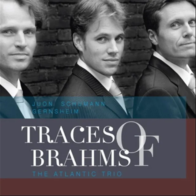 Traces of Brahms