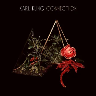 Connection by Karl Kling