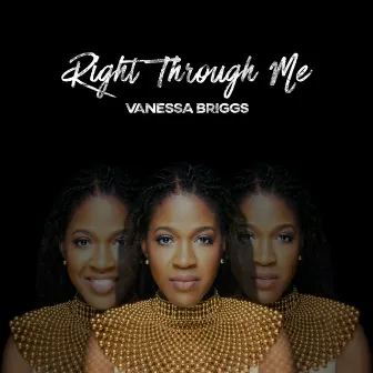 Right Through Me by Vanessa Briggs