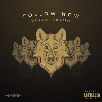 Follow Now or Catch Up Later by Nizz