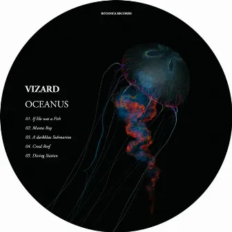 Oceanus by Vizard