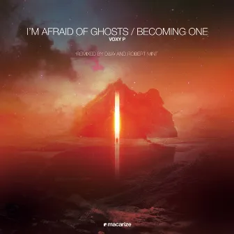 I'm Afraid of Ghosts / Becoming One (The Remixes) by D&W