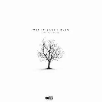 JUST IN CASE I BLOW by Staytrue Dnice