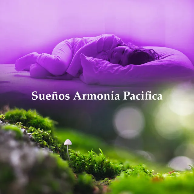 Sueños Armonía Pacifica