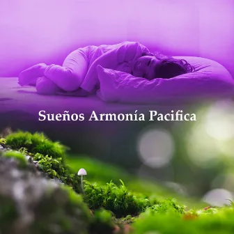 Sueños Armonía Pacifica by Musica Relajante Voyage