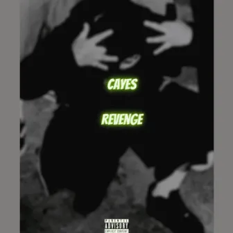 Revenge by Cayes1904