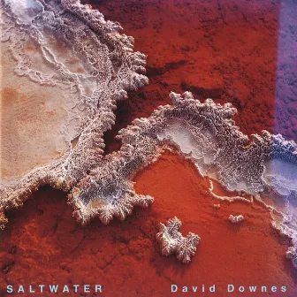 Saltwater by David Downes