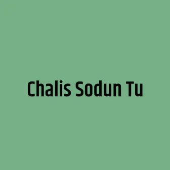 Chalis Sodun Tu by Mohan MK