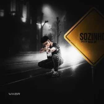 Sozinho (Sped up) by Nick Die