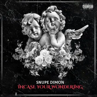 Incase Your Wondering by Snupe Dimon