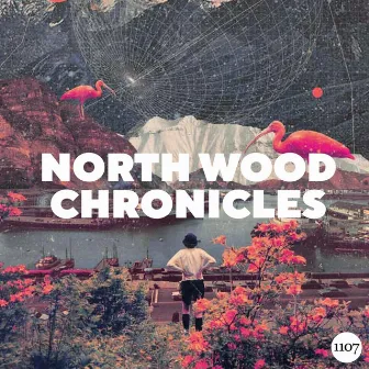 North Wood Chronicles by Joshua Benjamin Pacey