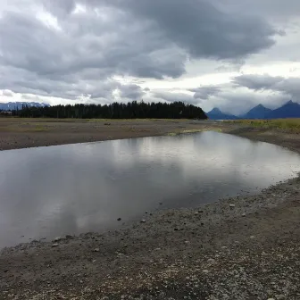 Advice from an Estuary by Kirk Kadish