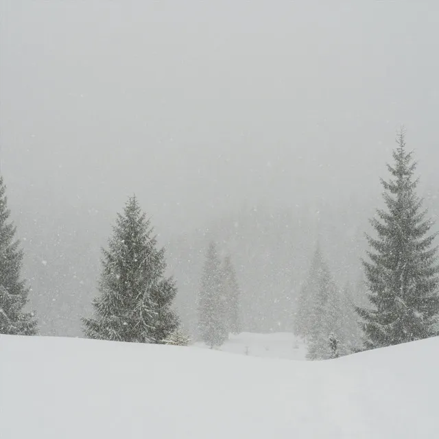 Green Pines in the Snow