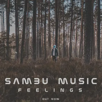 Feelings by Sambu Music