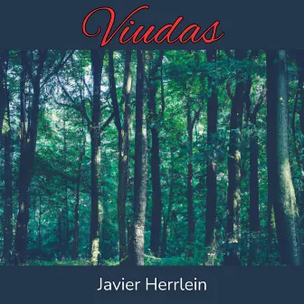 Viudas by Javier Herrlein