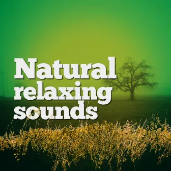 Natural Relaxing Sounds by Unknown Artist