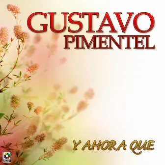 Y Ahora Qué by Gustavo Pimentel