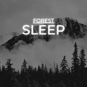 Forest Sleep by Science Of Sleeping