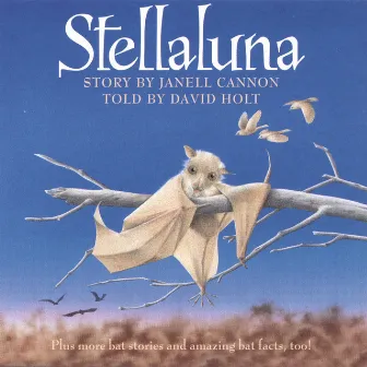 Stellaluna by David Holt