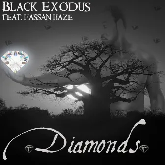 Diamonds (feat. Hassan Haze) by Black Exodus