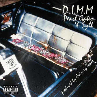 D.I.M.M. by Syll