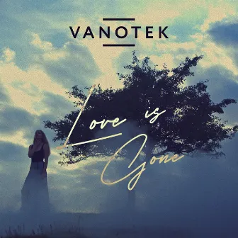 Love Is Gone by Vanotek