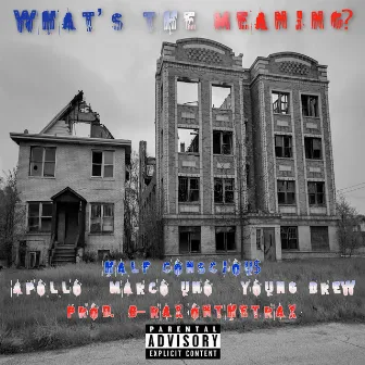 What's the Meaning? by Half Consciou$