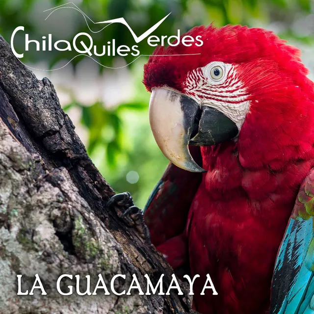 La guacamaya