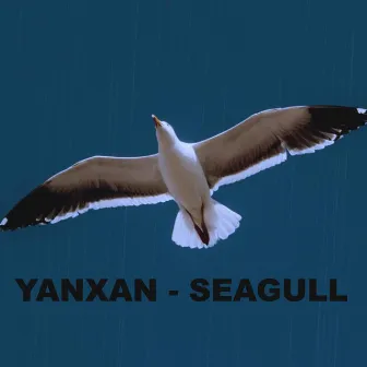 SEAGULL / თოლია by YANXAN