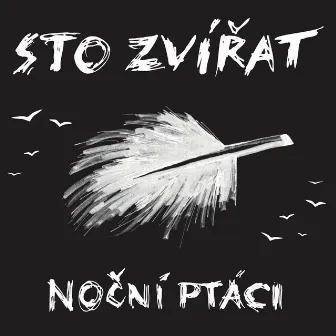 Noční ptáci by Sto zvířat