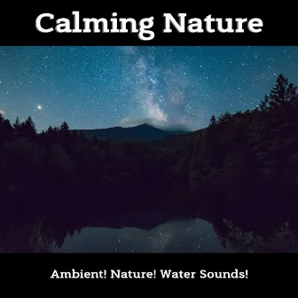 Calming Nature by Ambient