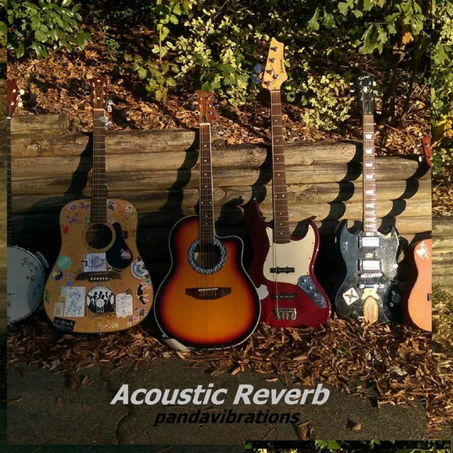 Acoustic Reverb