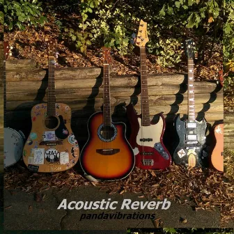 Acoustic Reverb by Pandavibrations