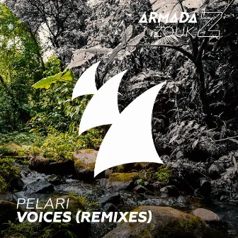 Voices (Remixes) by Pelari