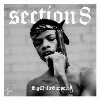 Section 8 by BigChildSupport