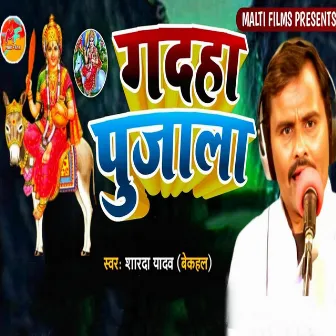 Gadha Pujala by Sharda Yadav