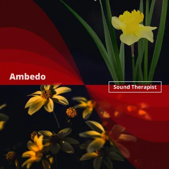 Ambedo by Sound Therapist