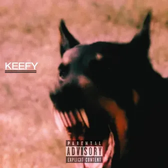 Keefy by Internal Quest