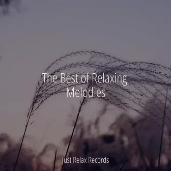 The Best of Relaxing Melodies by Relaxed Minds