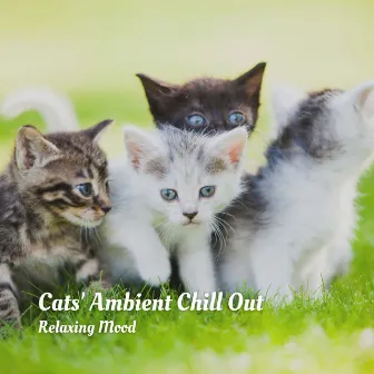 Cats' Ambient Chill Out: Relaxing Mood by Relaxing Musk Ox