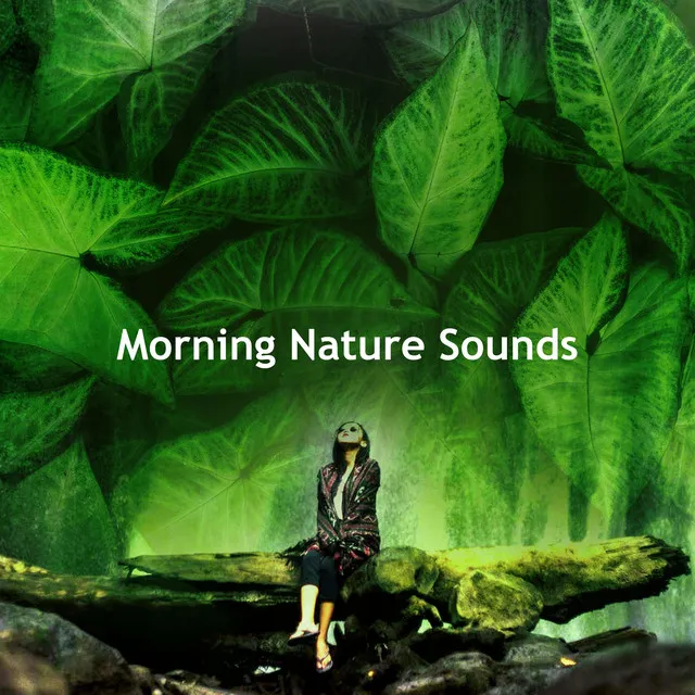 Morning Nature Sounds