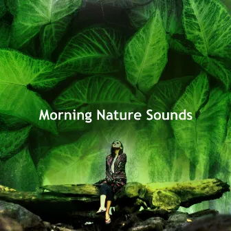 Morning Nature Sounds by Naturally Recurring