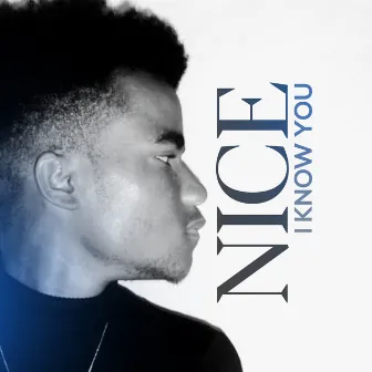 I Know You by Nice