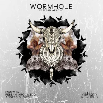 WormHole / Rounds by Esteban Arroyo