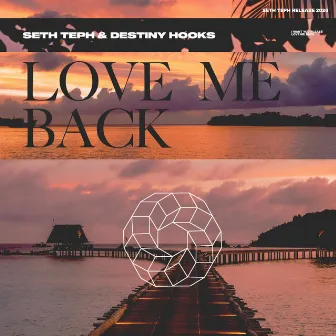 Love Me Back by Destiny Hooks