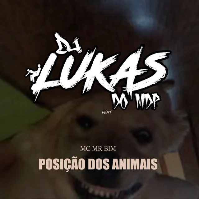 Posição dos Animais