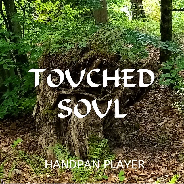 Touched Soul