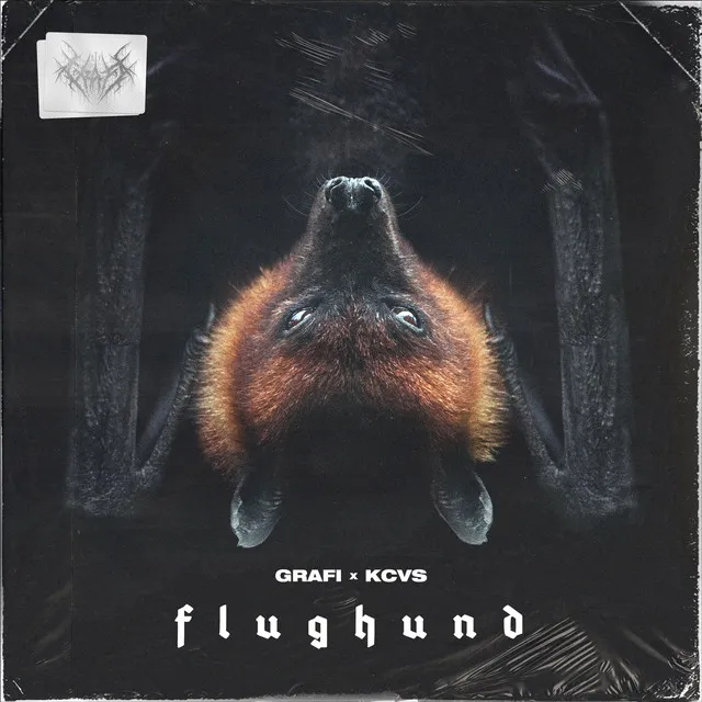 Flughund